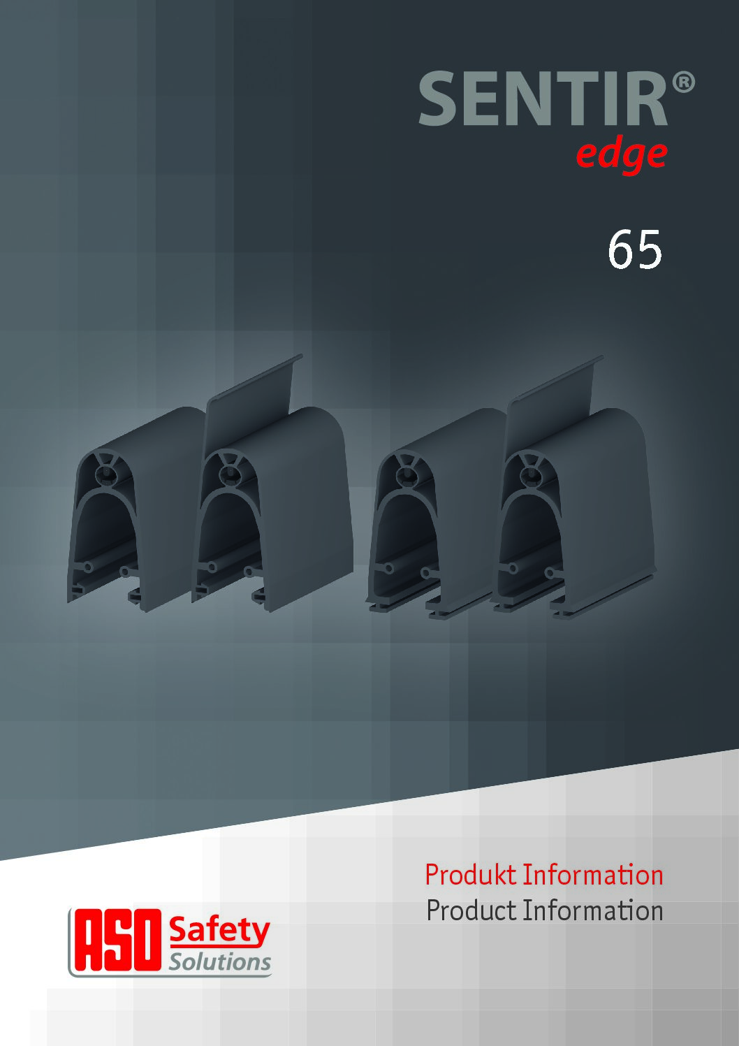 ASO 65 Datasheet